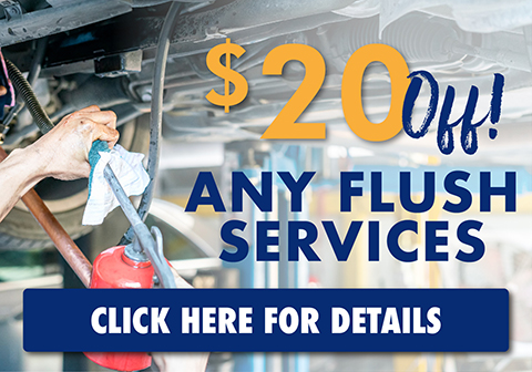 24 - May - $20 Off Flush Service